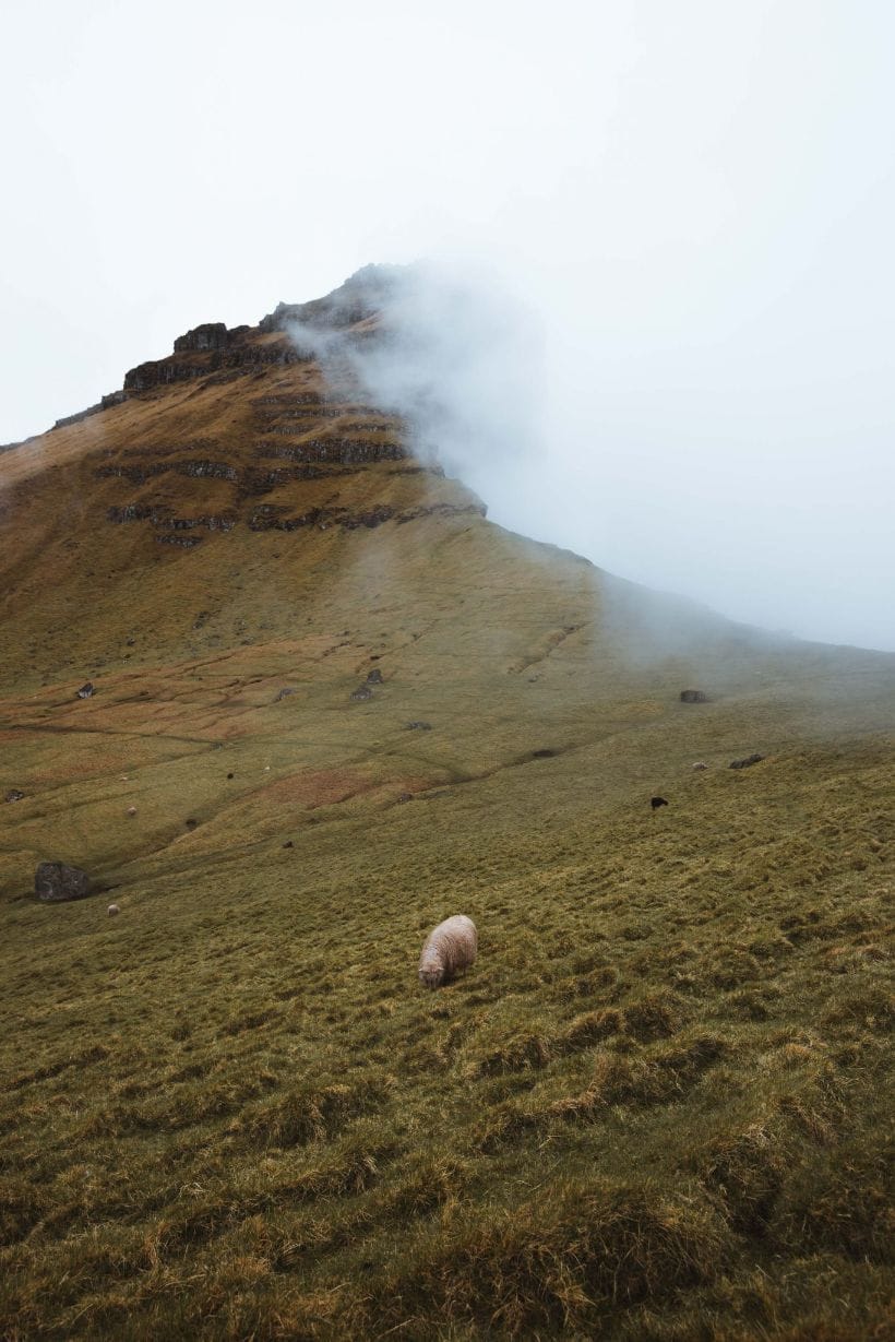 Stephen Norman Faroe Islands image 11